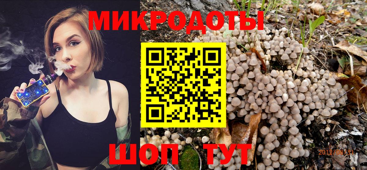 Псилоцибиновые грибы мицелий  Псилоцибиновые грибы Psilocybine cubensis  Вход с VPN  Ставрополь 