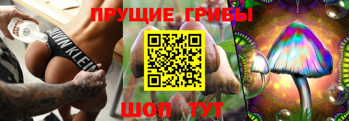 Псилоцибиновые грибы мицелий Ставрополь